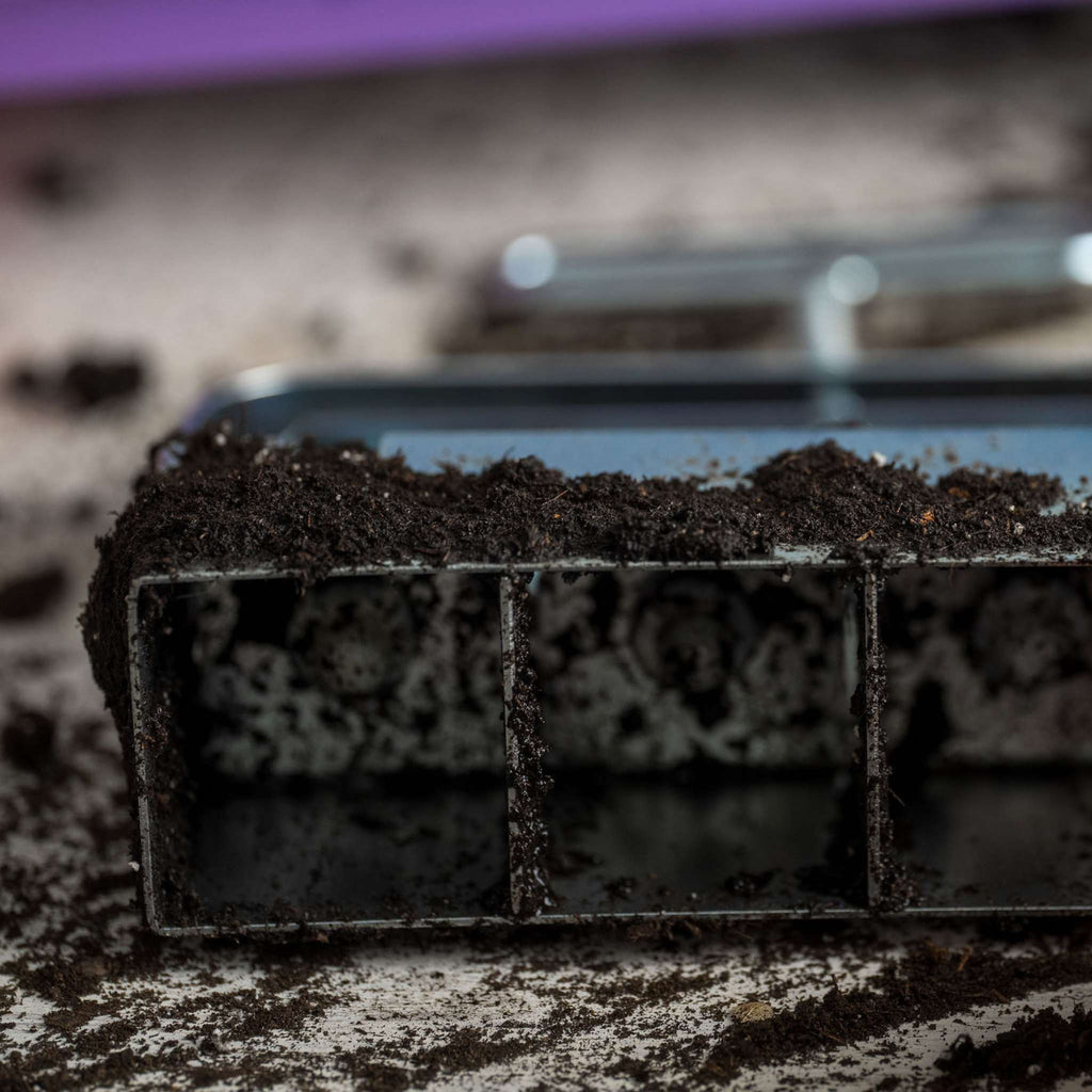 Soil Blocking Starter Kit