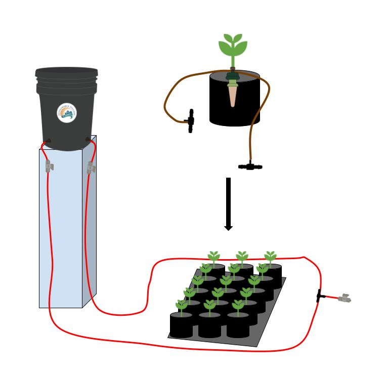 Blumat Ready, Set, Grow Kits