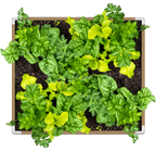 Living Soil Fabric Bed